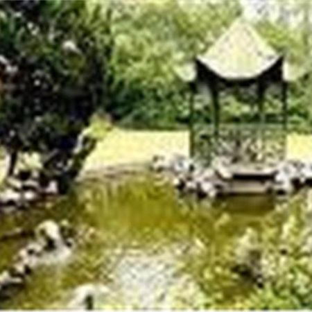 Cypress Hotel Jin Jiang Шанхай Екстериор снимка